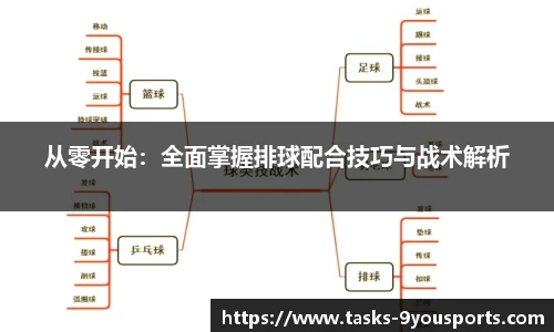 从零开始：全面掌握排球配合技巧与战术解析